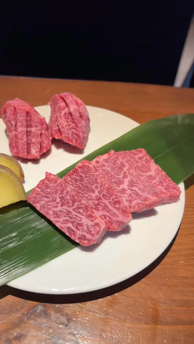 こんばんは！日吉「焼肉　煉」です🥩